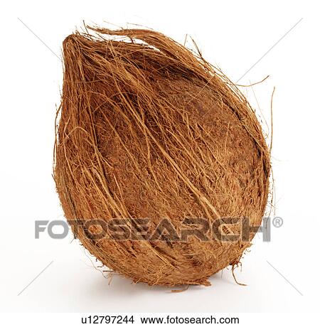 Picture - Coconut. Fotosearch