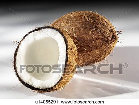 Stock Image - Coconuts on white graduated background. Fotosearch