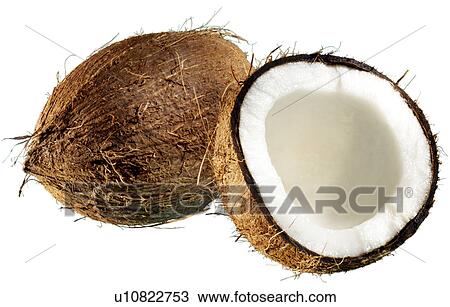 Stock Image - Coconuts on White - Non Exclusive. Fotosearch