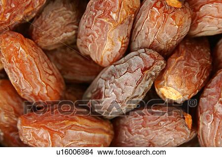 Dates View Large Photo Image Picture - Dates. Fotosearch