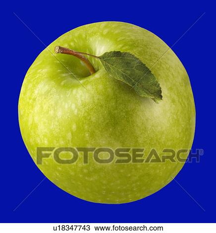 Dessert apple on blue View Large Photo Image Stock Image - Dessert apple on blue. Fotosearch