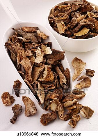 Stock Photo - Dried Porcini Mushrooms in Scoop - Non Exclusive. Fotosearch