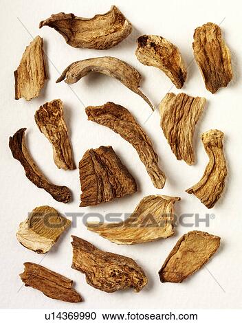 Stock Image - Dried Wild Forest Mushrooms - Non Exclusive. Fotosearch