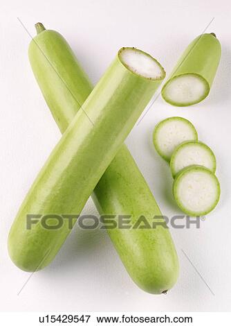 Stock Photo - Dudhi Gourd On White. Fotosearch