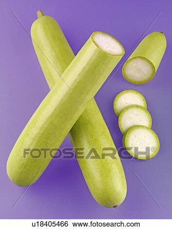 Stock Photograph - Dudhi Gourd. Fotosearch