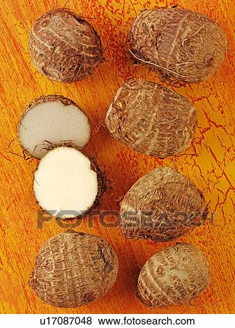 Stock Photo - Eddo. Fotosearch