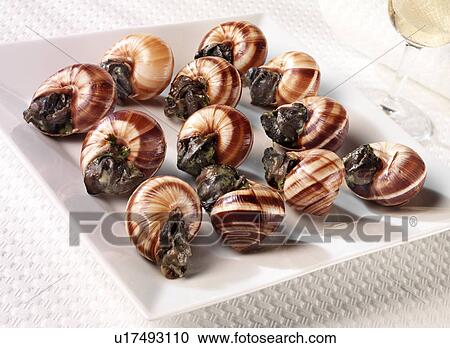 Stock Image - Escargot / Snails - Non Exclusive. Fotosearch