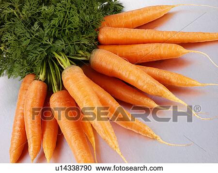 Stock Image - Fresh Carrots - Non Exclusive. Fotosearch