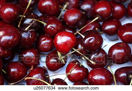 Fresh cherries View Large Photo Image Picture - Fresh cherries. Fotosearch