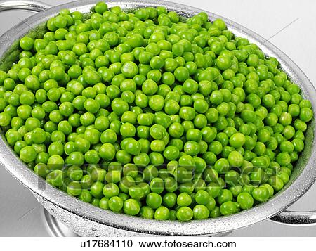 Fresh Garden Peas In Colander View Large Photo Image Stock Image - Fresh Garden Peas In Colander. Fotosearch