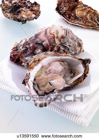 Fresh Oysters View Large Photo Image Stock Image - Fresh Oysters. Fotosearch
