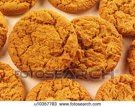 Stock Image - Ginger Nut Cookies - Non Exclusive. Fotosearch