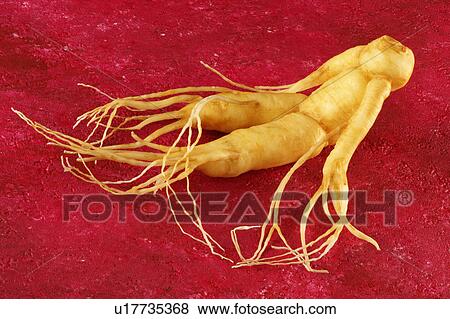 Ginseng on red View Large Photo Image Stock Photo - Ginseng on red. Fotosearch
