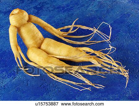 Ginseng View Large Photo Image Stock Photo - Ginseng. Fotosearch