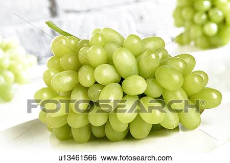 Grapes View Large Photo Image Stock Photograph - Grapes. Fotosearch