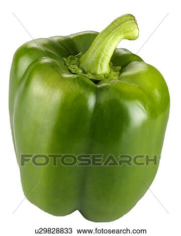 Green Pepper - Non Exclusive View Large Photo Image Stock Image - Green Pepper - Non Exclusive. Fotosearch