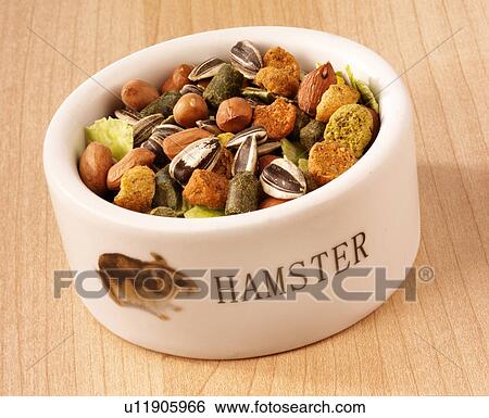 Stock Photograph - Hamster Food - Non Exclusive. Fotosearch
