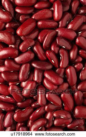 Kidney beans View Large Photo Image Picture - Kidney beans. Fotosearch