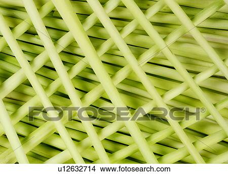 Lemon Grass - Non Exclusive View Large Photo Image Picture - Lemon Grass - Non Exclusive. Fotosearch