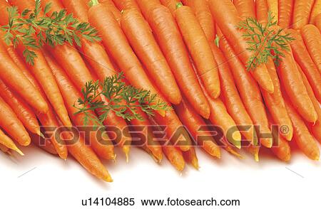 Lots Of Carrots - Non Exclusive View Large Photo Image Stock Photography - Lots Of Carrots - Non Exclusive. Fotosearch
