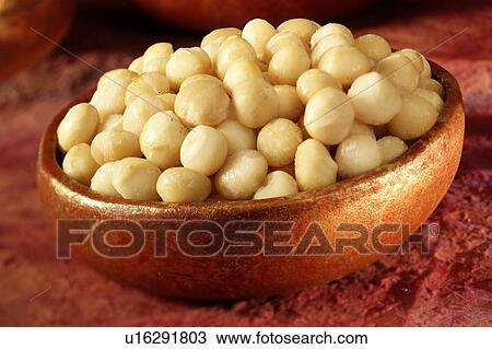 Macadamia Nuts View Large Photo Image Stock Image - Macadamia Nuts. Fotosearch