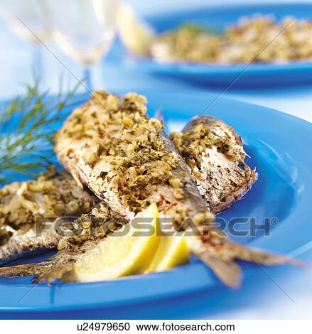 Stock Image - Mackerel. Fotosearch