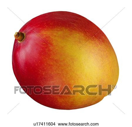 Picture - Mango. Fotosearch