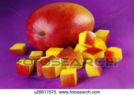 Mangoes View Large Photo Image Stock Photography - Mangoes. Fotosearch