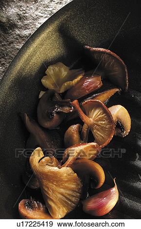 Stock Photo - Mushrooms. Fotosearch