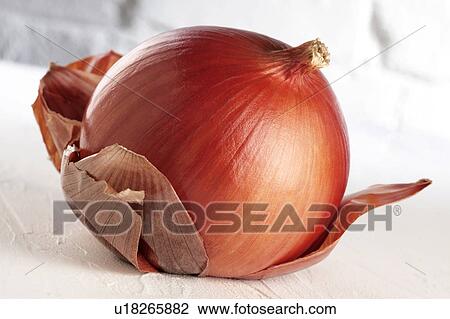 Stock Image - Onion. Fotosearch