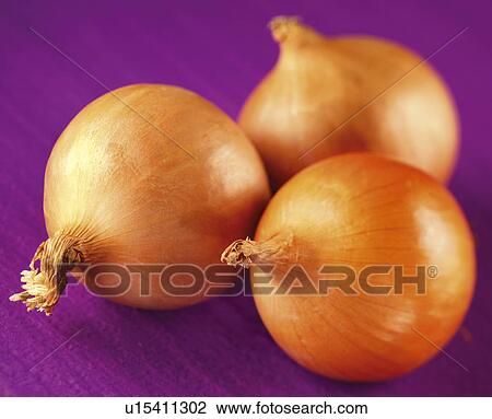 Onions - Non Exclusive View Large Photo Image Stock Image - Onions - Non Exclusive. Fotosearch