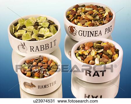 Stock Image - Pet Foods - Non Exclusive. Fotosearch