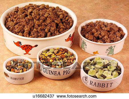 Stock Photo - Pet Foods - Non Exclusive. Fotosearch
