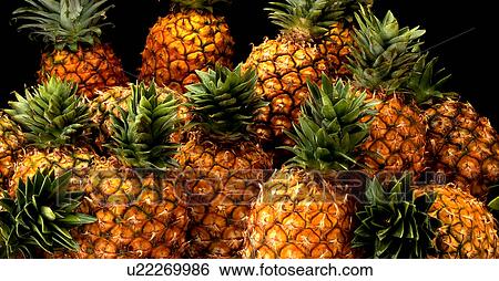 Stock Photograph - Pineapples. Fotosearch