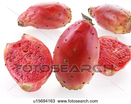 Stock Image - Prickly Pear / Cactus Pear. Fotosearch