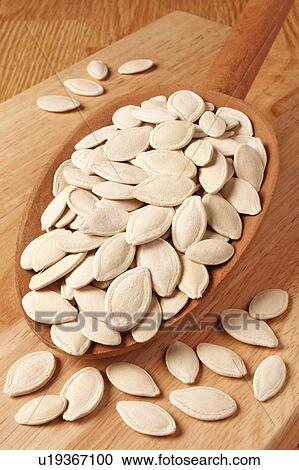 Pumpkin Seeds View Large Photo Image Stock Image - Pumpkin Seeds. Fotosearch