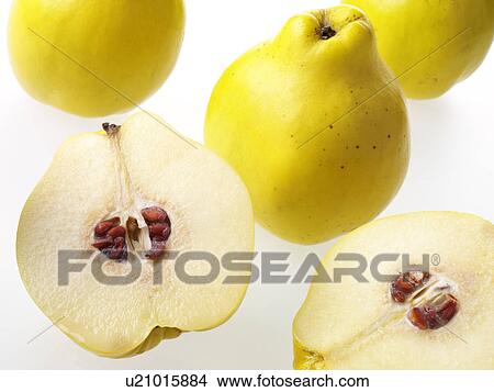 Picture - Quince. Fotosearch