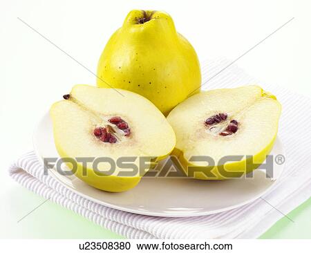 Stock Image - Quince. Fotosearch