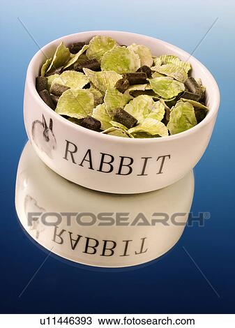 Stock Image - Rabbit Food - Non Exclusive. Fotosearch