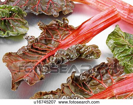 Stock Photo - Rainbow Chard Leaves. Fotosearch