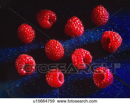 Stock Photo - Raspberries on blue. Fotosearch