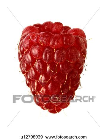 Raspberry on white View Large Photo Image Stock Photo - Raspberry on white. Fotosearch
