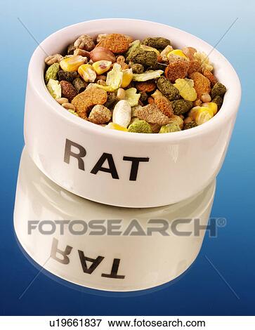 Rat Food - Non Exclusive View Large Photo Image Stock Photo - Rat Food - Non Exclusive. Fotosearch
