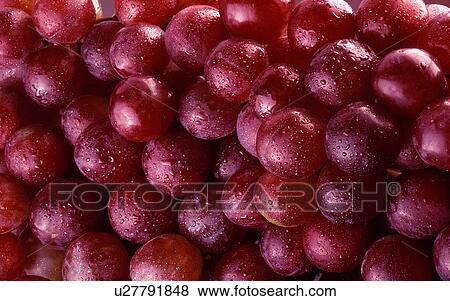 red grapes View Large Photo Image Stock Photo - red grapes. Fotosearch