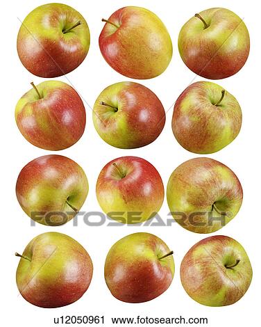 Stock Image - Red / Green Apples - Non Exclusive. Fotosearch