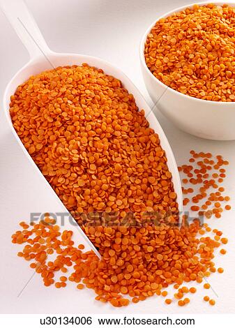Stock Photograph - Red Lentils in Scoop - Non Exclusive. Fotosearch