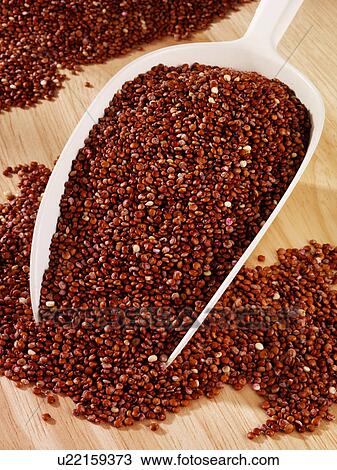 Stock Image - Red Quinoa in Scoop - Non Exclusive. Fotosearch