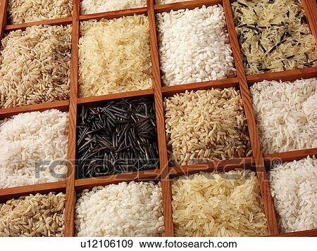 Stock Photo - Rice - Non Exclusive. Fotosearch
