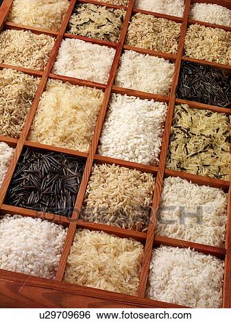 Stock Photograph - Rice - Non Exclusive. Fotosearch