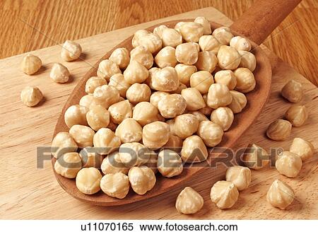 Roasted Hazelnuts View Large Photo Image Stock Photography - Roasted Hazelnuts. Fotosearch